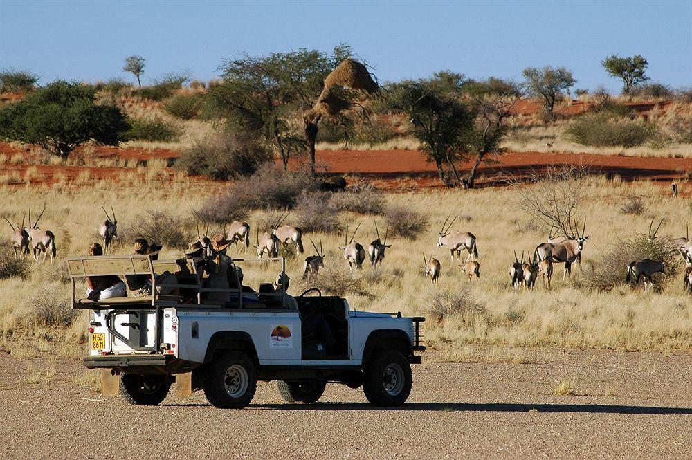 Kalahari Anib Lodge Intu Afrika Kalahari Game Reserve Exterior photo